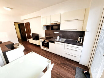 Pronájem bytu 1+1 v RD, Havřice - Uherský Brod - 4