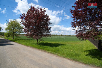 Prodej pozemku k bydlení, 3195 m², Lešná - 4