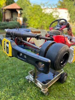 Kart Birel Easykart 60cc - 4