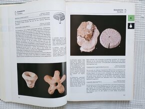 Fossilien, atlas fosílií v němčině, Turek, Beneš, Mareš - 4