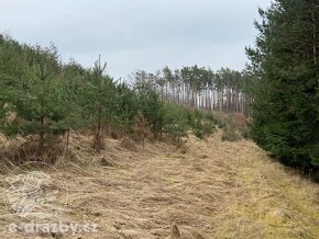 Soubor pozemků o celkové výměře 50 552 m2, Manělovice - 4