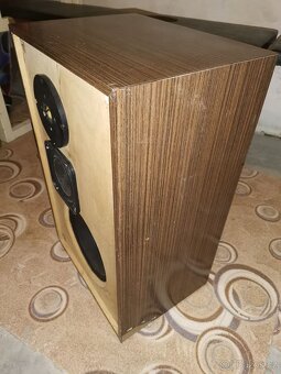 Reprobedny Tesla domácí výroby - 4