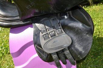 Equiline Elite - 4