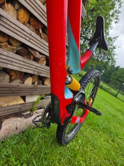 Specialized Demo - 4