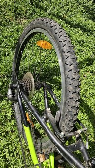 Kolo Scott Scale junior 24´ - 4