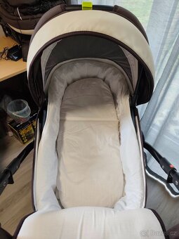 DorJan Butterfly - 4