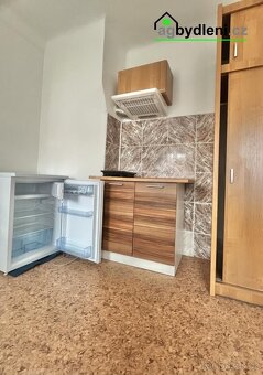 Pronájem vybaveného bytu 1+kk, Město Touškov - 4