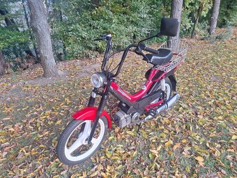 Manet korado v pěkném stavu - 4