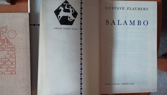 David Copperfield, Malá Dorritka, Okouzlení duše... - 4