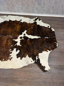 Hovězí kůže (525009) - 4