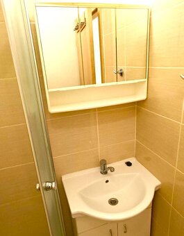 Pronájem bytu 1+kk 35 m² Otrokovice - 4