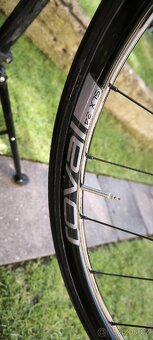 Cyklokroska Focus Marel CX - 4