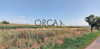 Prodej pozemků v k. ú. Moravský Písek o výměře 11.506 m2 - 4