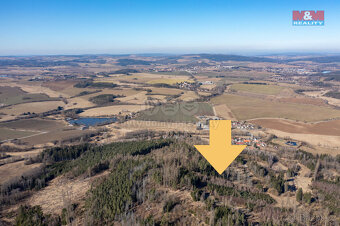 Prodej lesa, 7371 m², Mileč, okres Plzeň-jih - 4