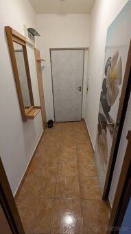 Pronájem bytu 2+kk - 4