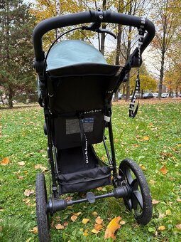 Hauck Runner 3 Jungle Green 2024 - 4