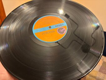 MUDDY WATERS - Fathers And Sons. LP - 4