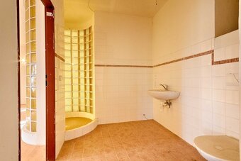 Prodej rodinného domu, 520 m2, Jindřichův Hradec, ul. Dolní  - 4