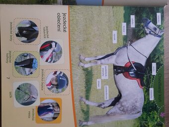 Moje první knížka o koních - 4