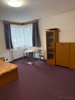 1+1 pronájem - 4