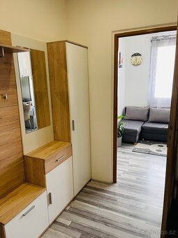 Prodej, byt 1+1, 39m2, ul. Brněnská, Plzeň - město - 4