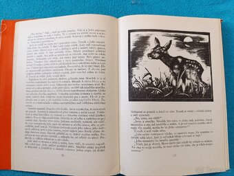 DÍTĚ DIVOČINY - M.K.Rawling - 4