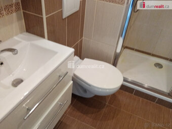 Pronájem hezkého bytu 1+1, 34m2, ul. Na Pěšině, Děčín - Byno - 4