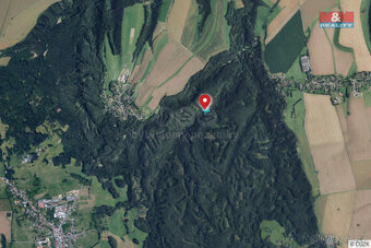 Prodej lesa, 5021 m², Proseč - 4