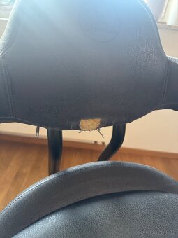 🪑 Prodám židli SpinaliS Rodeo – zdravotní židle s aktivním - 4