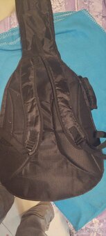 Kytara+struny+pouzdro - 4