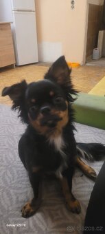 Nás krasavec čaky - 4