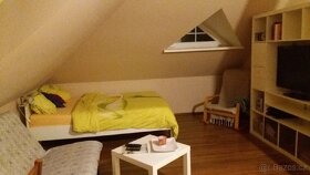 Pronajem pokoje v RD, 35m2, 5km od Říčan - 4