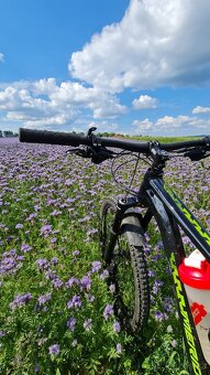 Merida one twenty 9.500 - 4