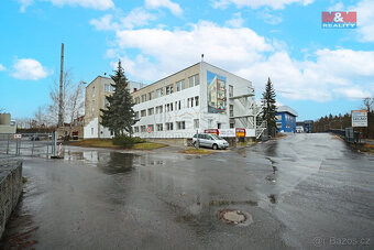 Pronájem ubytovacího zařízení, 300 m², Dalovice, Botanická - 4