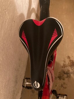 Dámské kolo Apache Arrow Lady Cross 2016 - 4
