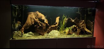 Akvarium 300l - 4