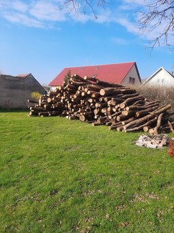 Suche palivove drevo - 4