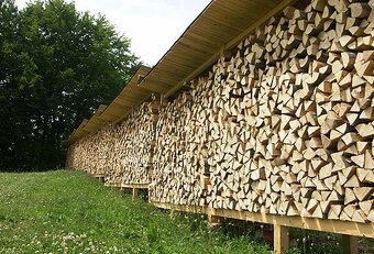 Nabízíme  NEJLEVŇĚJŠÍ  ŠTÍPANÉ PALIVOVÉ DŘEVO, 950 Kč/SPRM - 4