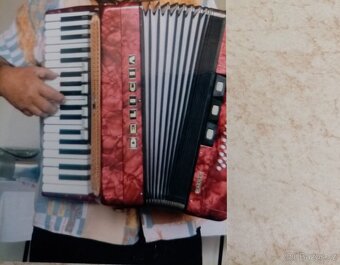 Harmonika Delicia carmen - 4