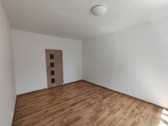 Pronájem bytu Nová Role 1+1 - 4