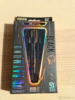 Raymond van Barneveld 26g Target darts - 4
