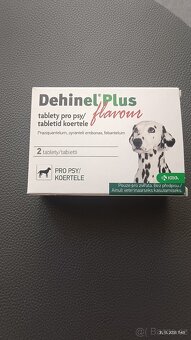 Prodej 2+1psi vodítko - 4