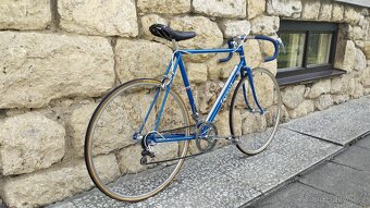 Favorit 1954 - 4
