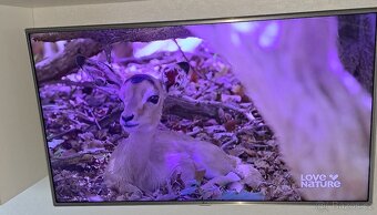 Prodám TV LG49LH615V - 4