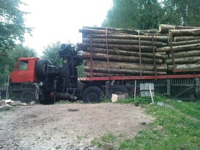 nejlevnevnejsi palivove drevo kulatina,doprava zdarma - 4