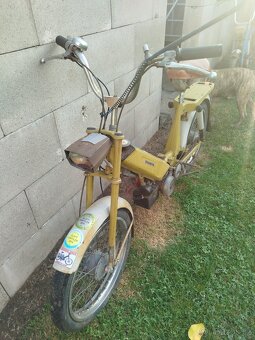 Babetta207 - 4