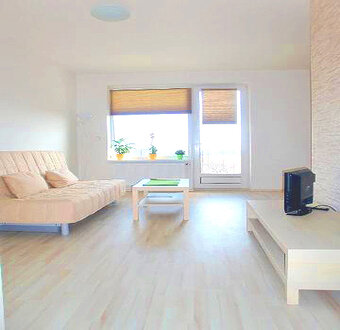 Pronájem novostavby 1+ 1 U Leskavy, Brno. 43 m2, 4.p. - 4