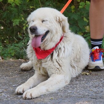 Coraz hledá domov - 4