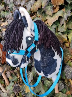 Hobby horse - 4