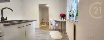 Prodej bytu 1+1 o CP 30 m² + 17m2 zahrada - 4